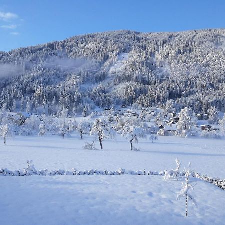 Apartment-Ferienwohnung 3 Treffen Am Ossiachersee Екстер'єр фото