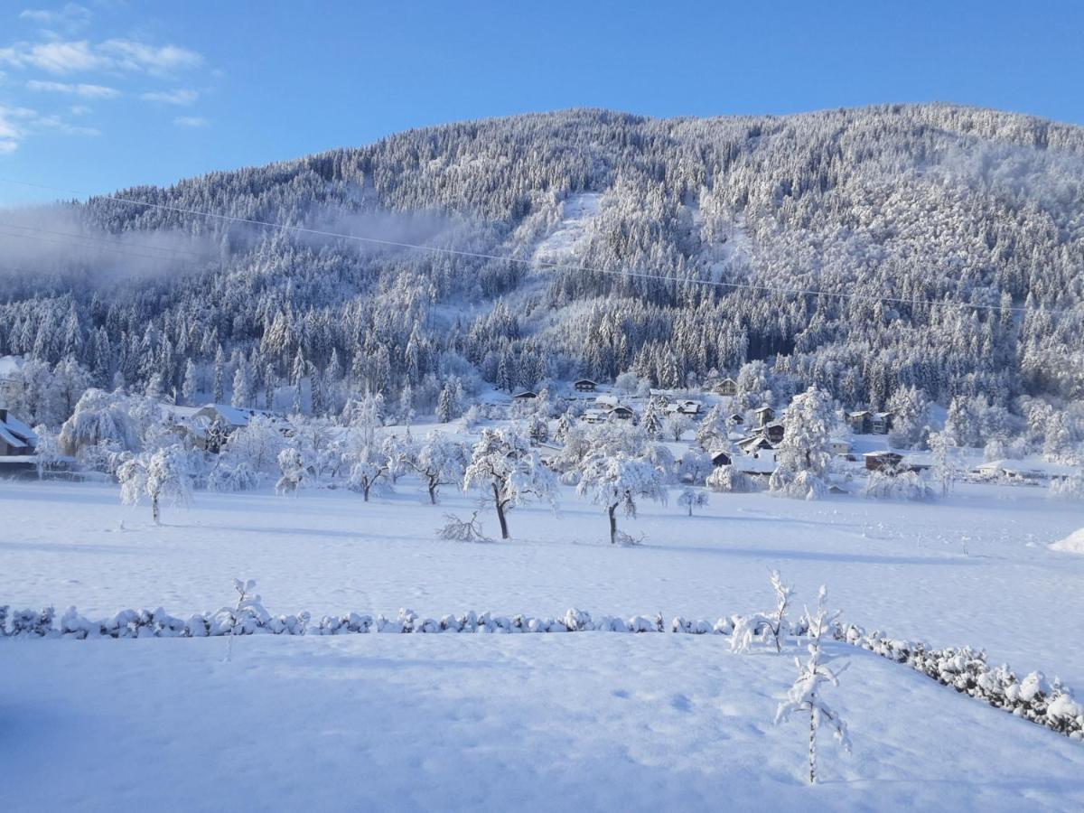 Apartment-Ferienwohnung 3 Treffen Am Ossiachersee Екстер'єр фото